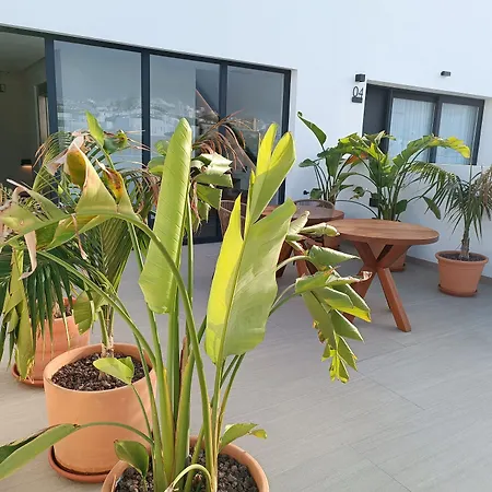 Aparthotel Hamus
